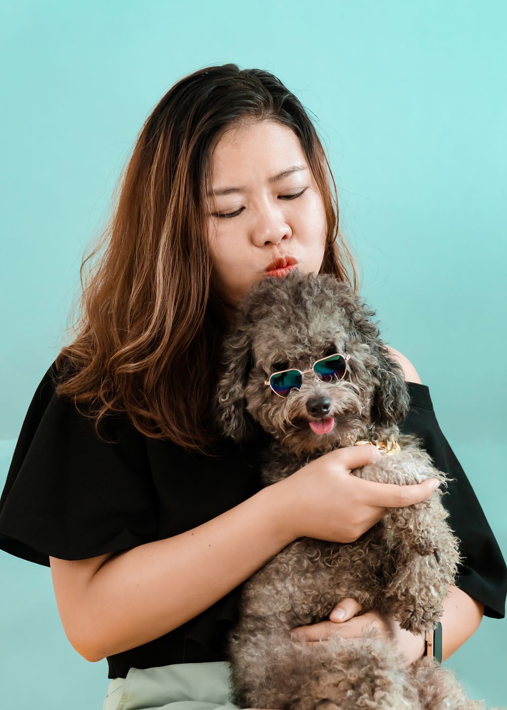Dog Grooming — Home Service